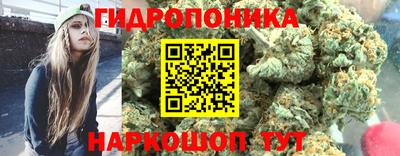 гидра Абакан