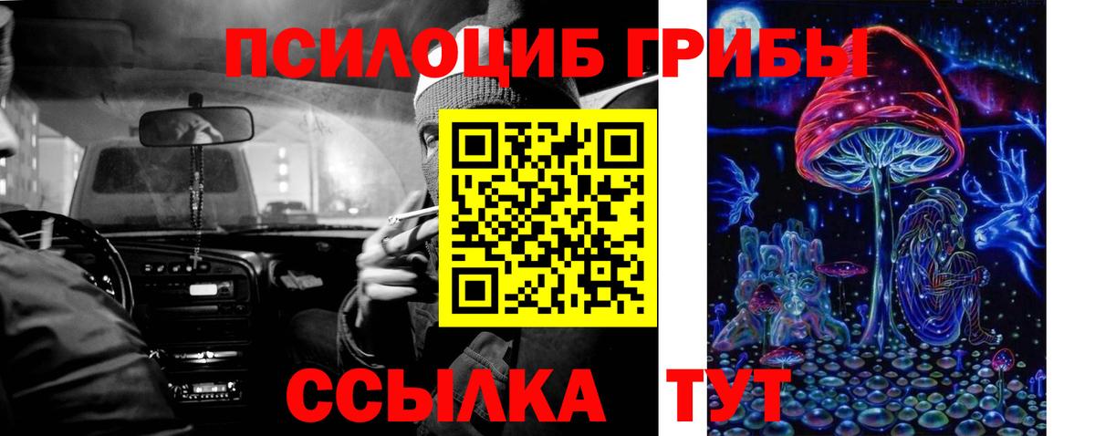 Псилоцибиновые грибы Magic Shrooms Александров